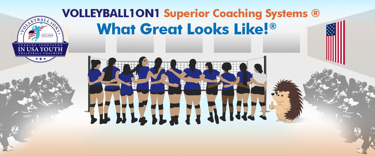 Volleyball1on1 Superior Coaching Systems ® - What Great Looks Like ® 1A