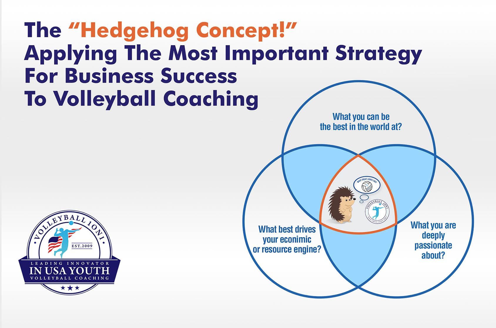 The Hedgehog Concept For Volleyball Coaching - Applying The Most Important Business Concept To Volleyball