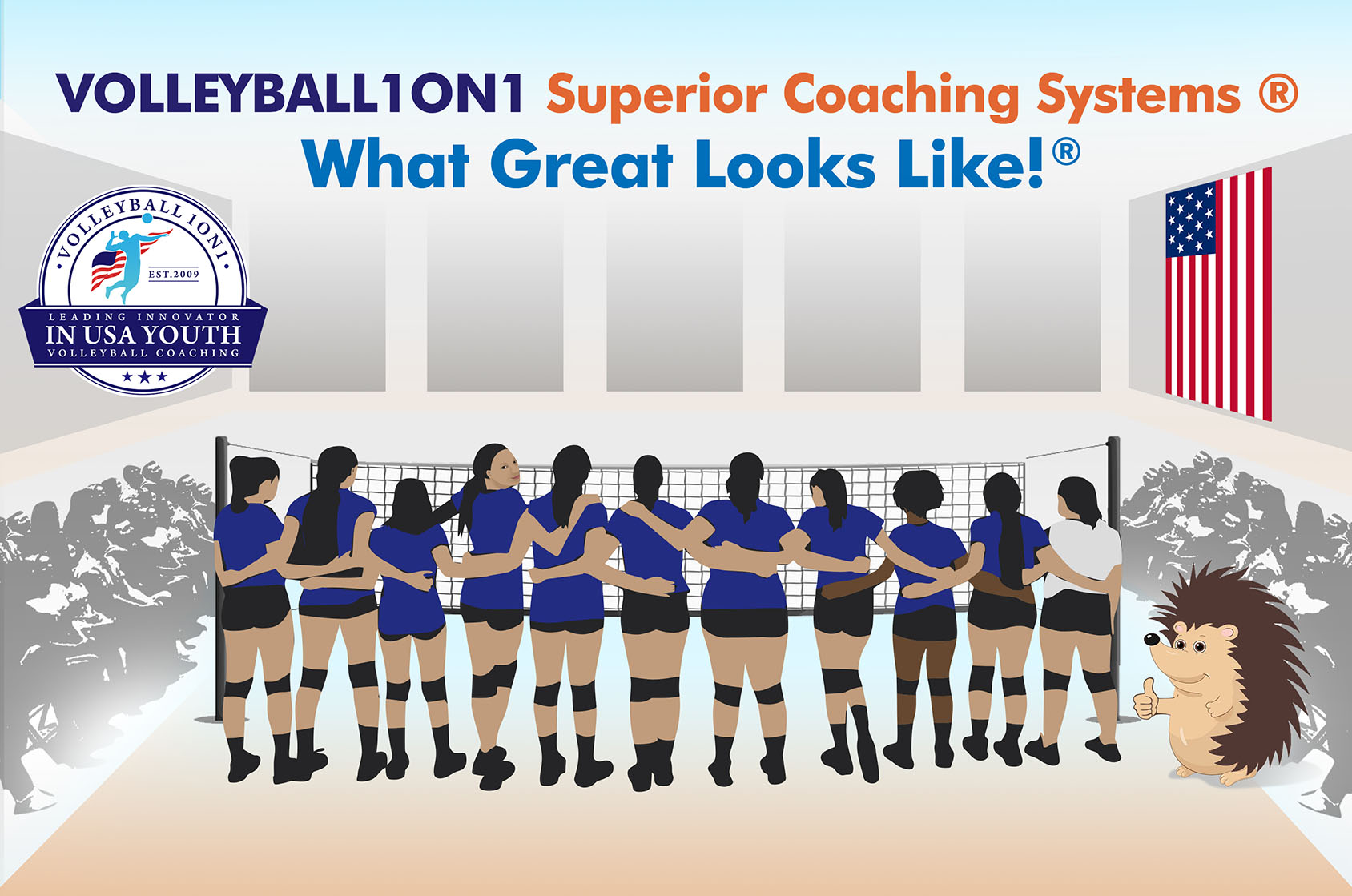 Volleyball Superior Coaching Systems ® - What Great Looks Like ® For High School And Club Volleyball