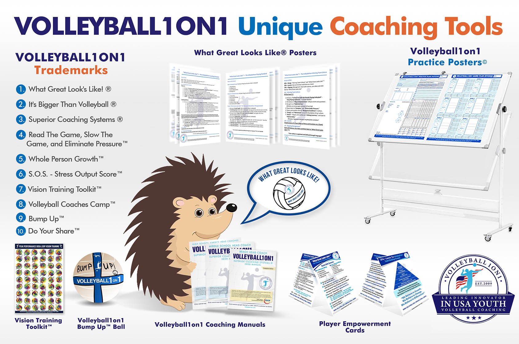Volleyball1on1-Unique-Proprietary-Coaching-Tools-For-High-School-And-Club-Volleyball-Coaching-–-Volleyball-Coaching-Manuals-Volleyball-Practice-Posters-Volleyball-Vision-Training-Tools